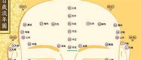 印堂面相|面相基础知识